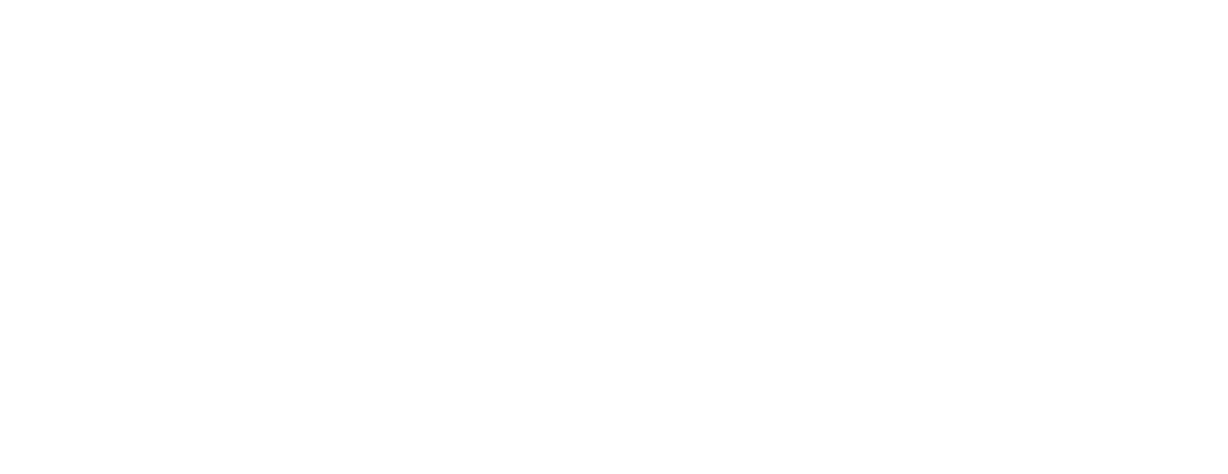 Logo VOAE