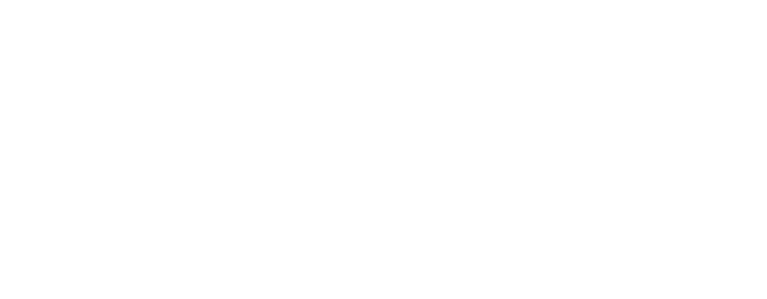 Logo CERES